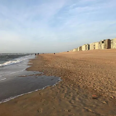 Aosta 204 Location Near The * Koksijde