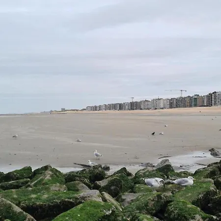Daire Aosta 204 Location Near The Koksijde